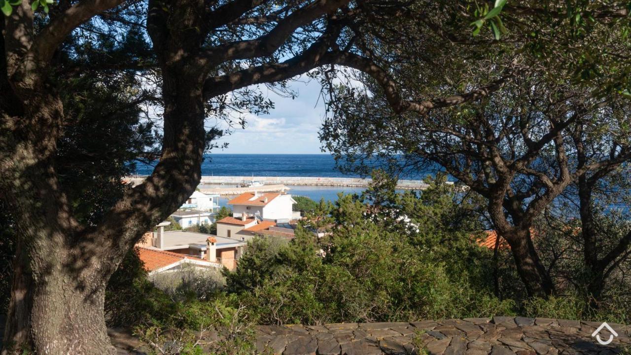 Villa Al Mare - Cala Gonone 多尔加利 外观 照片